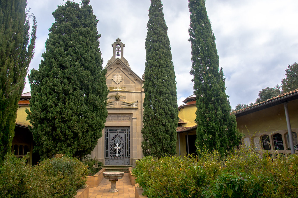 cipreses en un cementerio